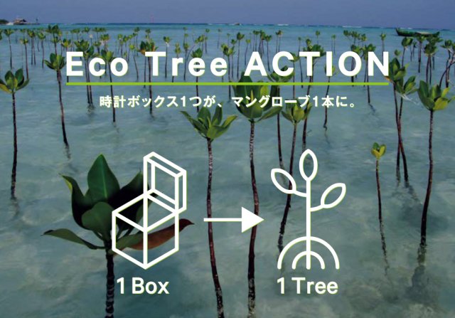 シチズン 地球環境にやさしい『Eco Tree ACTION』をスタート～腕時計のボックスが、マングローブ1 本に