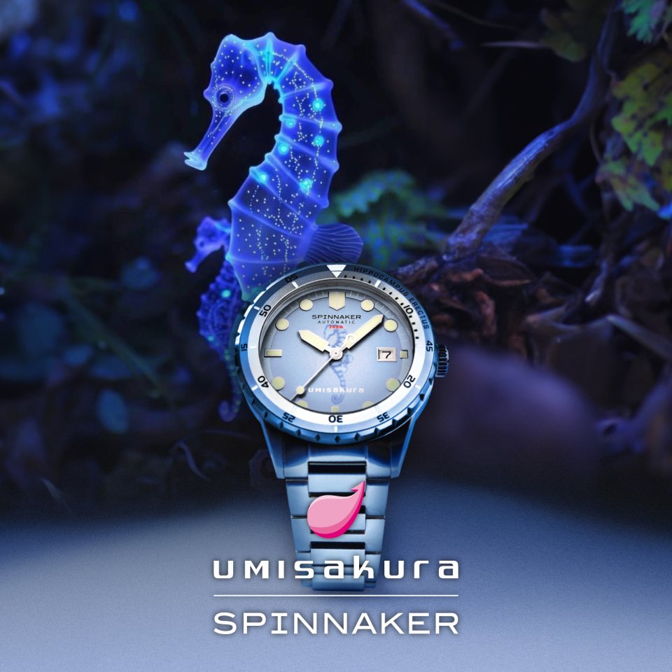 スピニカーから、タツノオトシゴをモチーフに海の環境美化を推進する