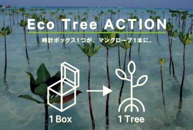 シチズン 時計の箱がマングローブ 1本になる『Eco Tree ACTION』 1年間で約 27,000本の苗を寄付