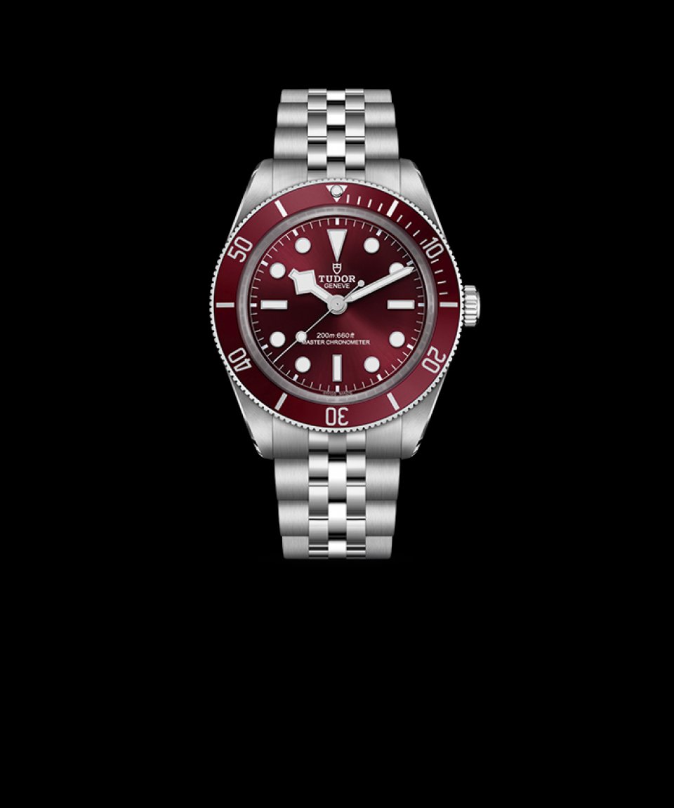 TUDORのWatches＆Wonders 2025～待望の新作の全貌 | NEWS